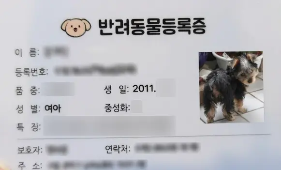 강아지 동물등록증